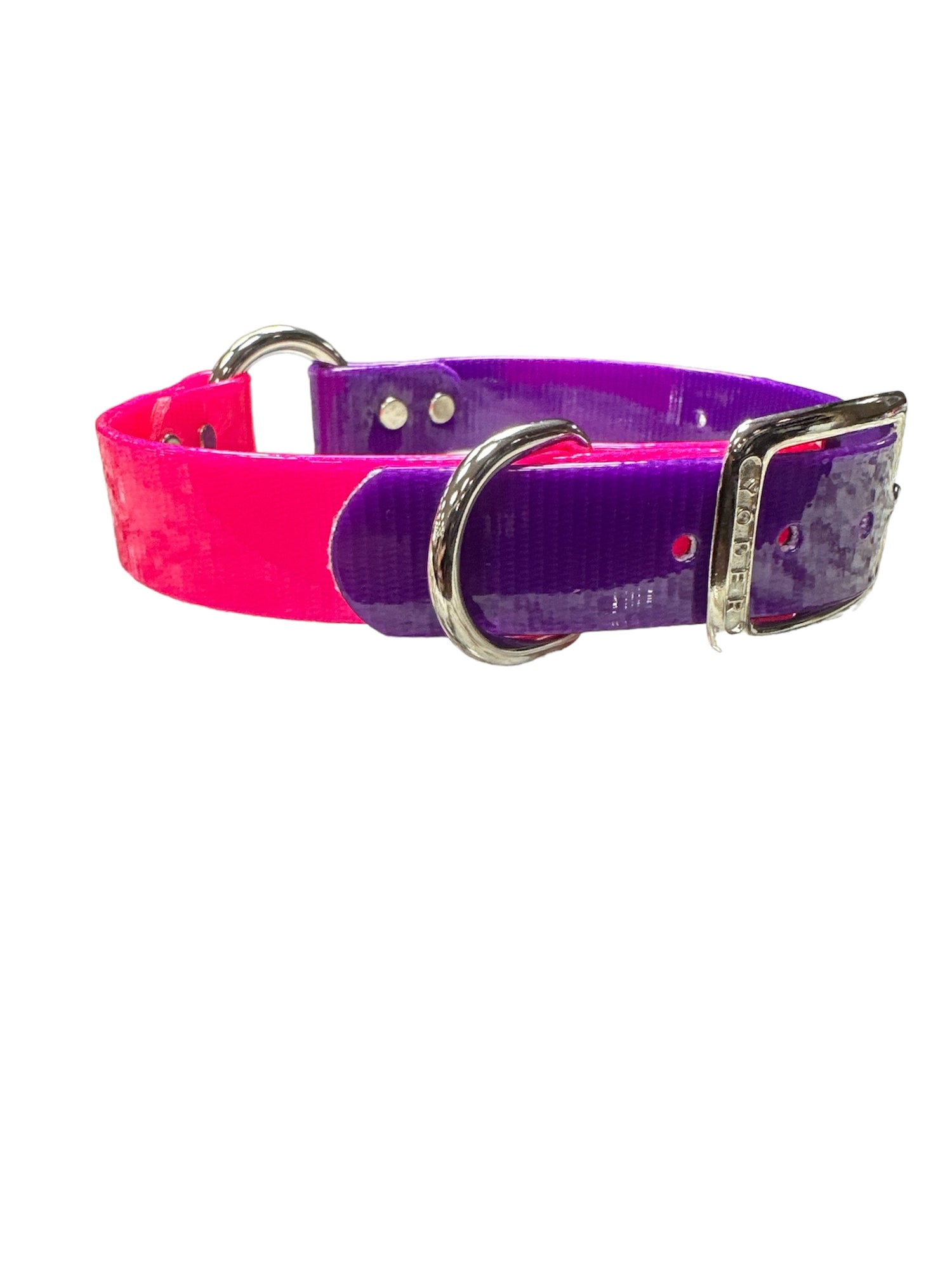 Dog and Hunt Custom Two-Tone Collar