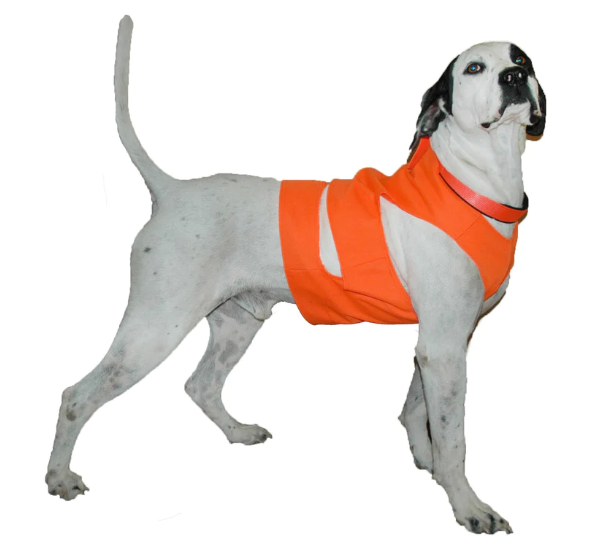 Sporting Dog Chest Protector