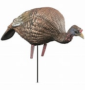 Higdon Outdoors Hard Body Turkey Decoy Feeder Hen