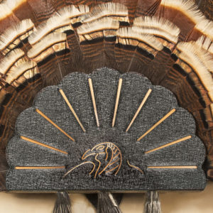 Skull Hooker Turkey Fan Mount